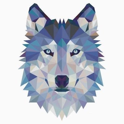 The_Crypto_Wolf (💙,🧡) (L3, ❄️)