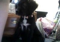 Souly Airyn Roku Deathcap-McCaskill