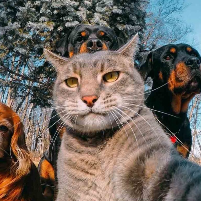 EasyCoinInfo🛸🪶| easycoininfo.bnb 🌊📘 (💙,🧡