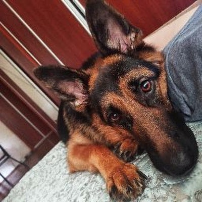 Анна Лобанова