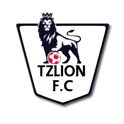 TZLION FC