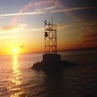 Michelle Bologna Bush