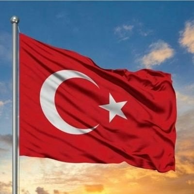 🛸 Mr. Alex Hancıoğlu (💙,🧡)