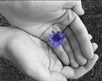 Jhonatan Lopez De Leon