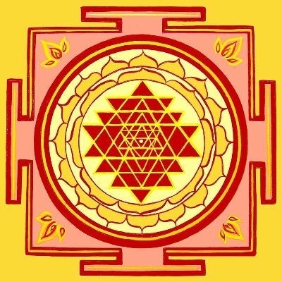 companii baunti 🛸