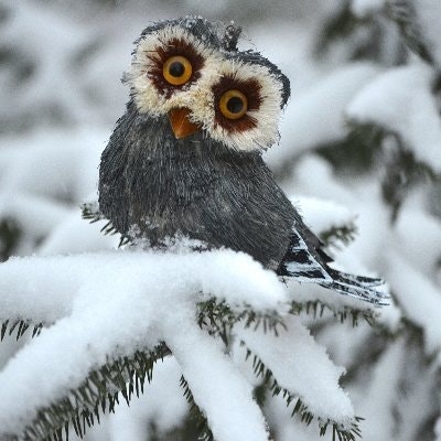 Acermann1 (💙,🧡) | donskoy.bnb