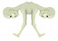 Nathan Sherry Parker