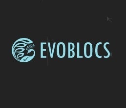 EVO BLOCS