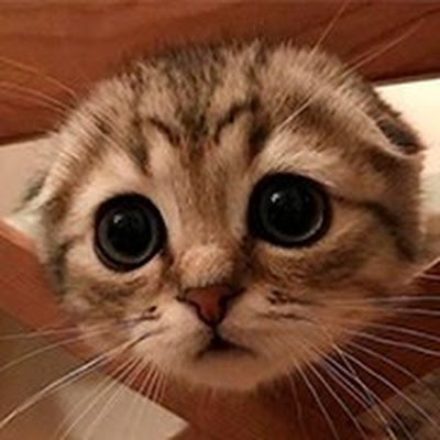 Никита (mani123)