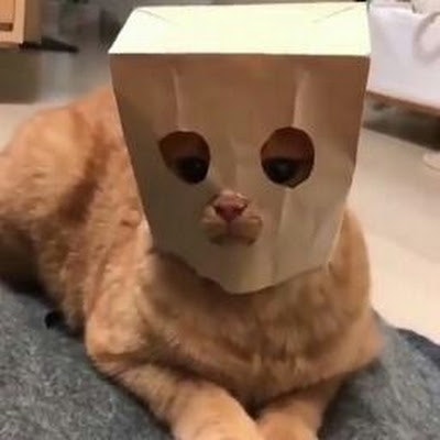 Millaray Valdebenito