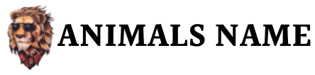 Animals Names