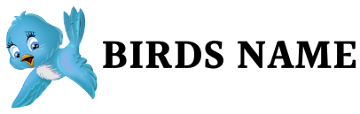 Birds Name