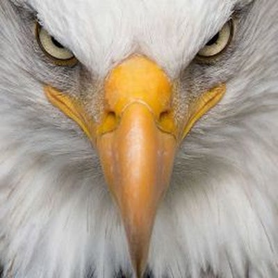 hawaiiansuperpunch808 La