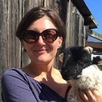 Milkana Stefanova Brace