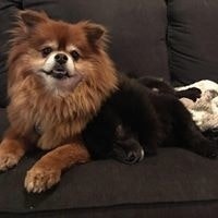 Cecilia Benovenli-Frech