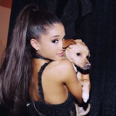 Focus On ARI