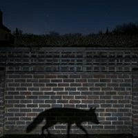 Iñaki Cormenzana Méndez