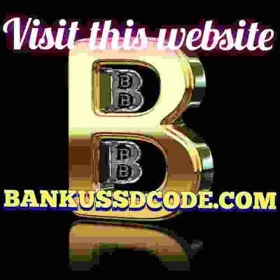 the paylater ussd code 2023