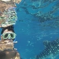 Paolo Dela Vina Jimenez