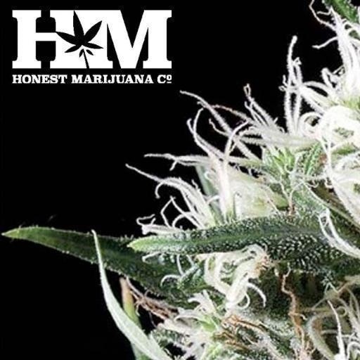 HonestMarijuana