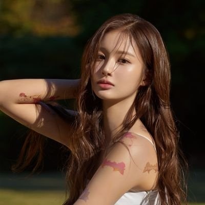 Mr Sunshine | Followback