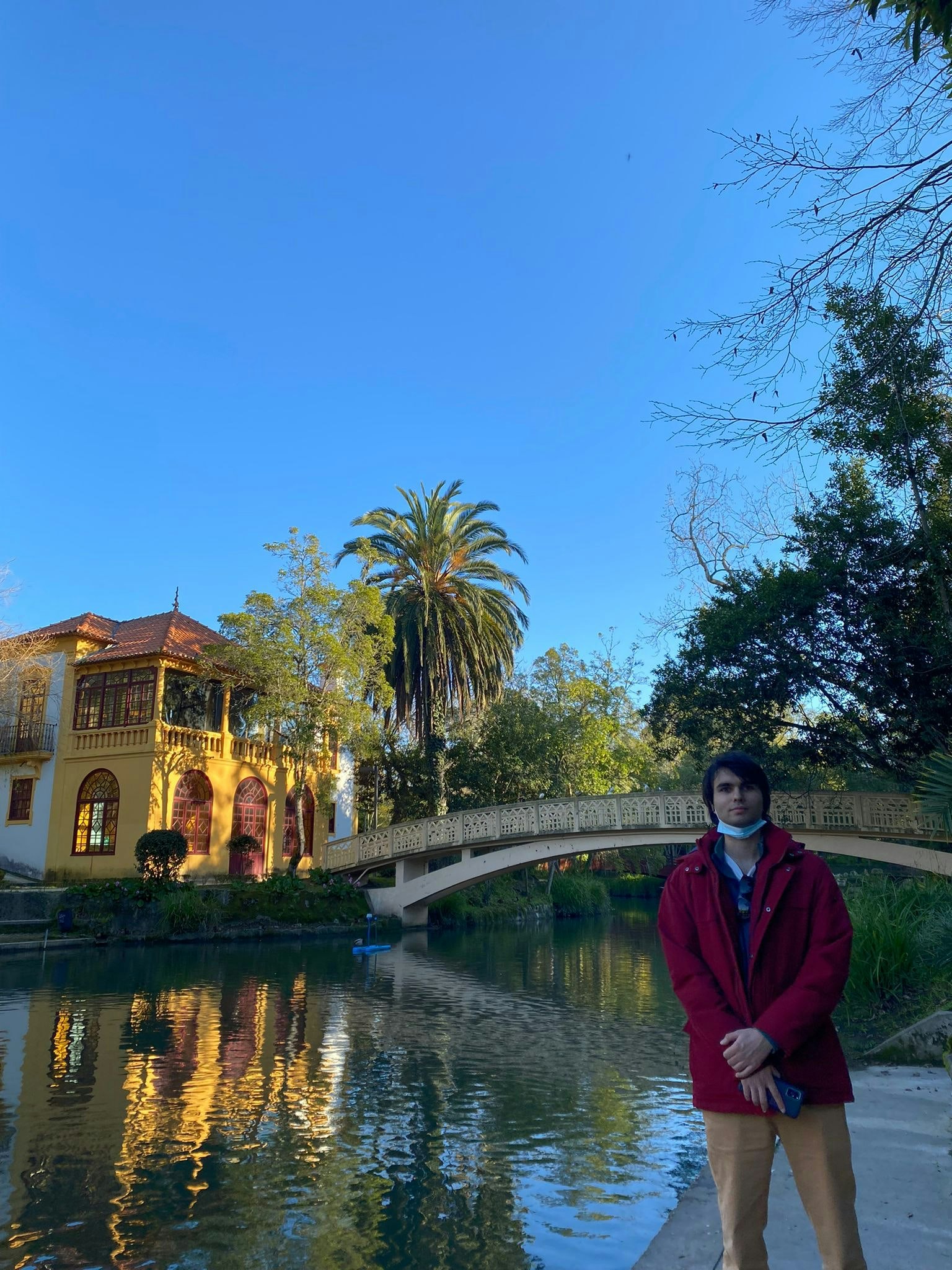 António - Team Focusmate