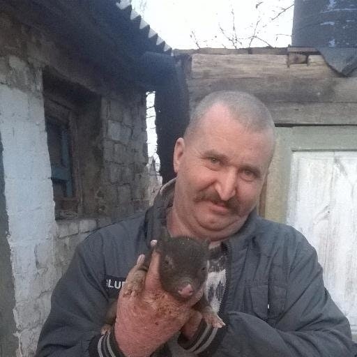 Николай Ковалевский