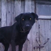 Роман Назмутдинов