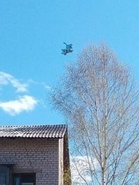 Юлия Каликина