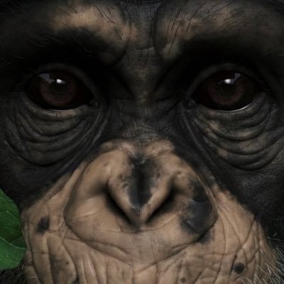 FegHaïtien 🇭🇹🇭🇹