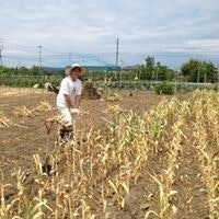 Kai Edward Kobayashi