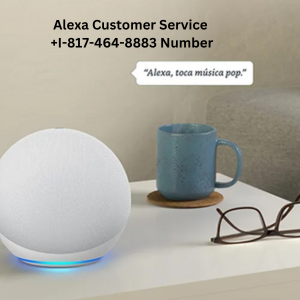 Alexa Customer Service Number