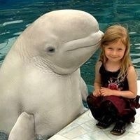 Omar Abd Elhamied Omr