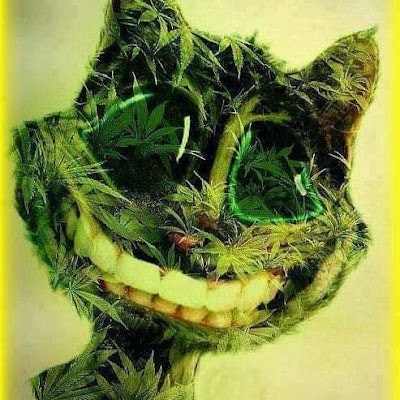 Любик Бояркин