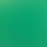 Sergei A Pricazchikov