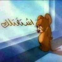 ابو حسن الحموي