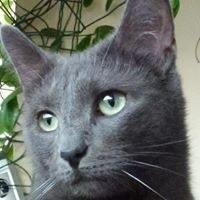 Monica Ragazzi Georgen