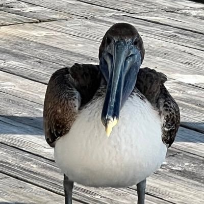 Sally Church 🇺🇦