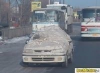 Mike McSillywhiskers