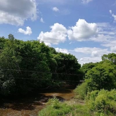 zorax🦇🔊(💙,🧡)