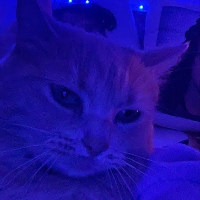 I “youveryaggressiveman” I