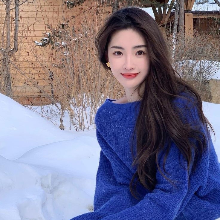 ✨️ zoy ☆ znonk ✨️