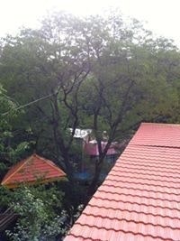 السراب سراب