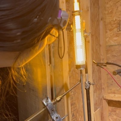 Danielle Fong 💁🏻‍♀️