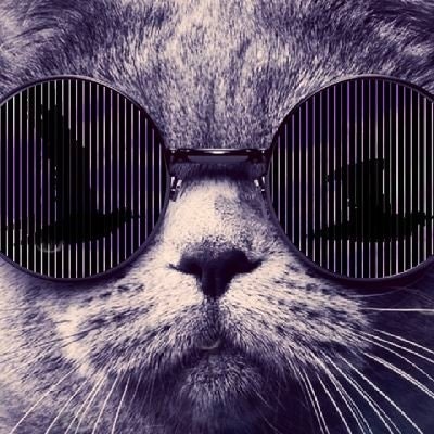 𝒦𝒶𝓁ℯ𝒶ꪑₑₜₜₐᵦᵢ𝑔𝑤ᵢₙ🍀