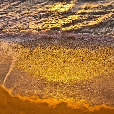 Mike Horne - MiddleMan