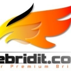 Debridit.com