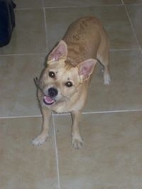 Adrián Fernández Hernández