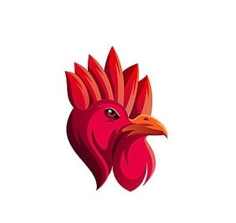Ayam yogya