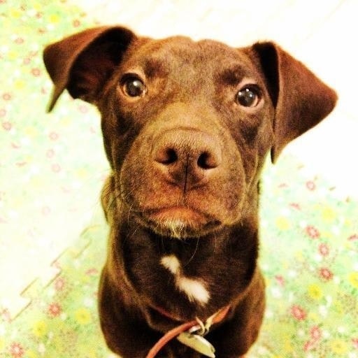 James Park (박인환)